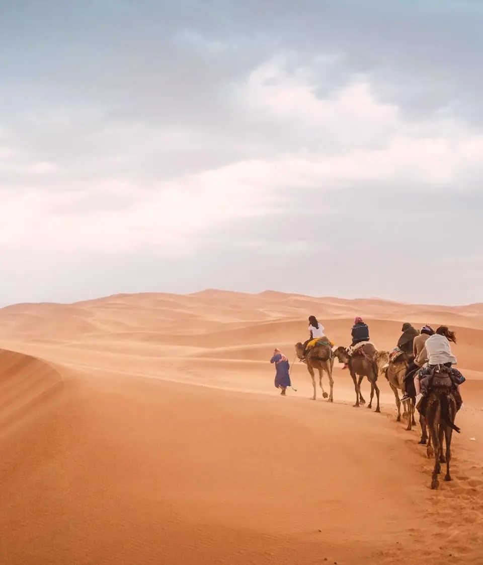 Guided camel ride across golden desert dunes